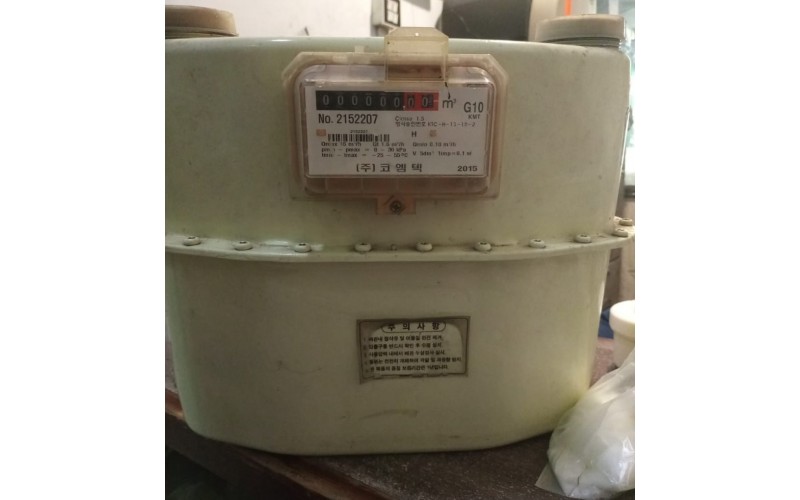 Gas Meter G10