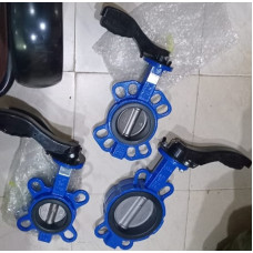 Butterfly Valve China Butterfly Valve China